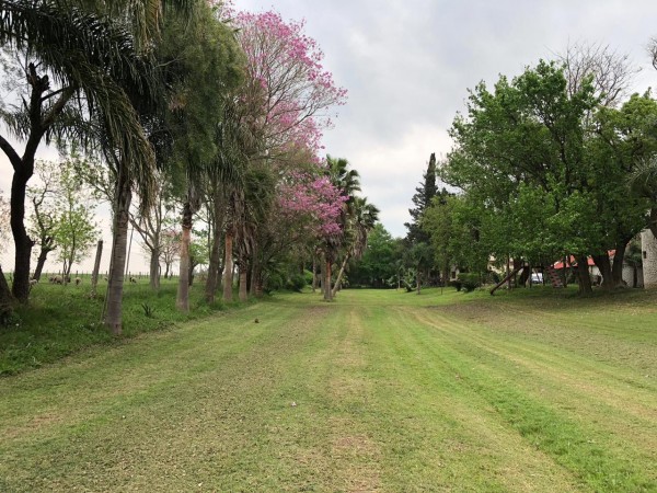 ALQUILER SEMANAL!! CASA DE CAMPO MIRAFLORES