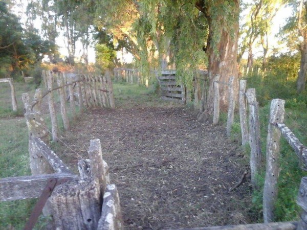 VENDO!! CAMPO AGRICOLA SOBRE ASFALTO