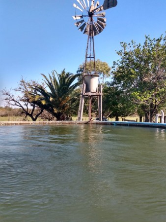 VENDO!! CAMPO GANADERO ARMADO