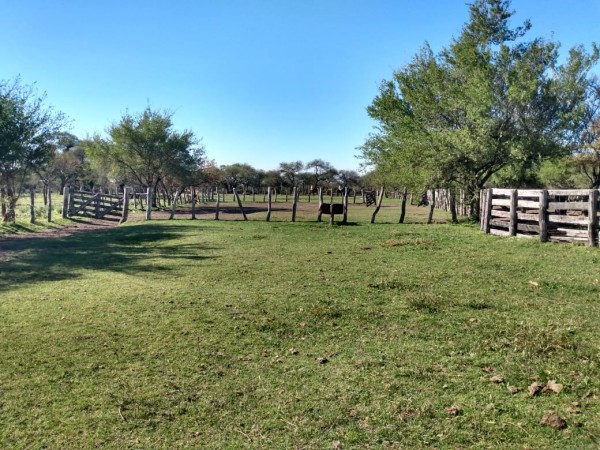 VENDO!! CAMPO GANADERO ARMADO