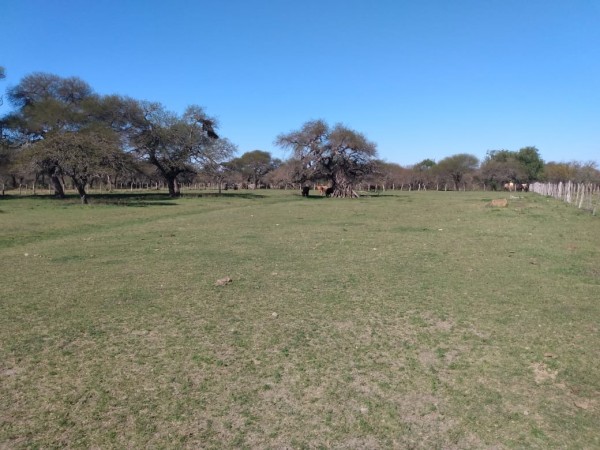 VENDO!! CAMPO GANADERO ARMADO