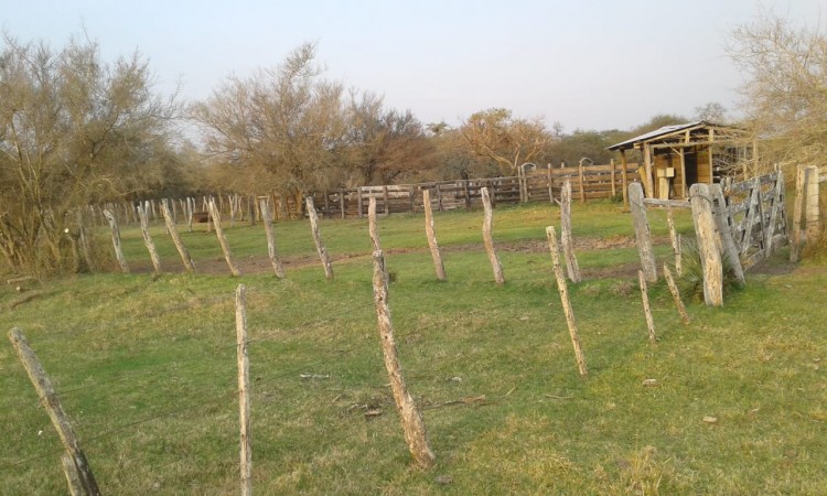VENDO!! CAMPO GANADERO ARMADO