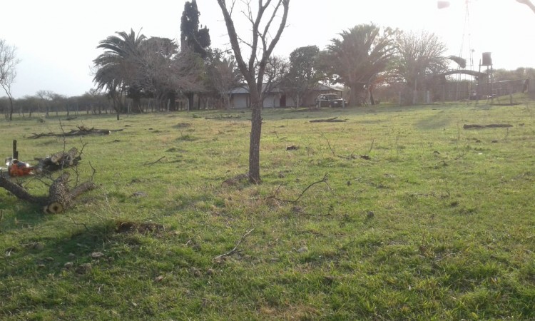 VENDO!! CAMPO GANADERO ARMADO