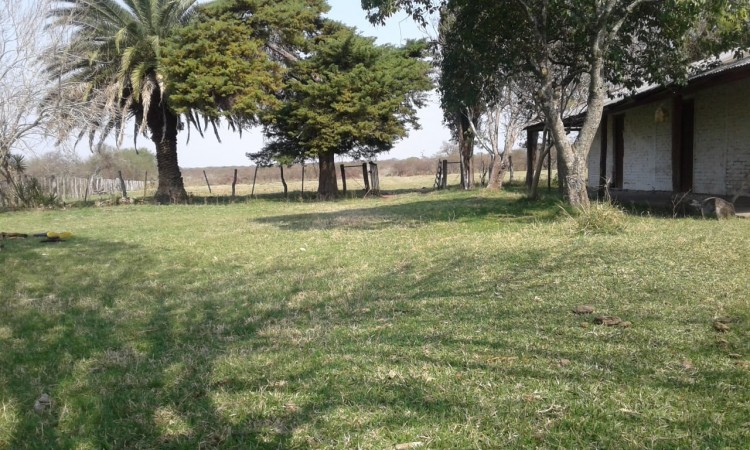VENDO!! CAMPO GANADERO ARMADO