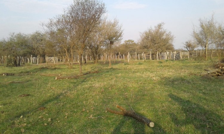 VENDO!! CAMPO GANADERO ARMADO