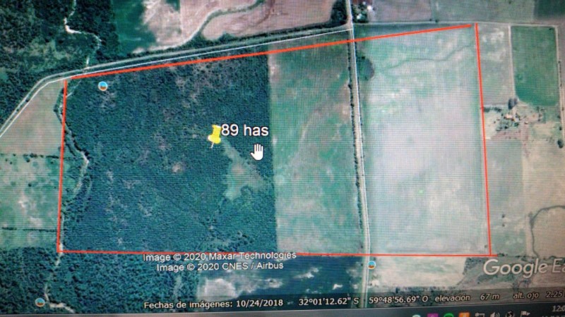 VENDO CAMPO MIXTO 89 Ha - VIALE