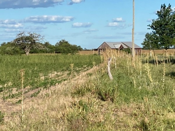 VENDO!! CAMPO MIXTO  317 Ha