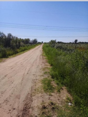 VENDO!! CAMPO EN ISLA DEL IBICUY