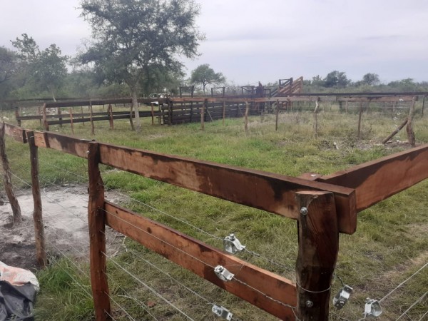 VENDO!! CAMPO MIXTO EN PIEDRAS BLANCAS