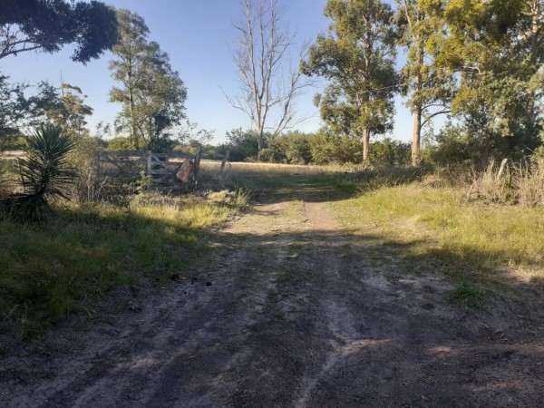 VENDO!! CAMPO MIXTO EN PIEDRAS BLANCAS