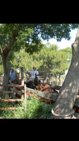 VENDO!! CAMPO GANADO 756 Ha !!! EL ESPINILLAR GRANDE