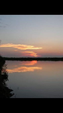 VENDO!! CAMPO GANADO 756 Ha !!! EL ESPINILLAR GRANDE