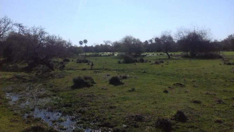VENDO!! CAMPO GANADERO !! FEDERAL!!