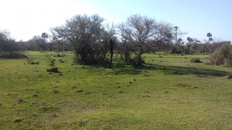 VENDO!! CAMPO GANADERO !! FEDERAL!!