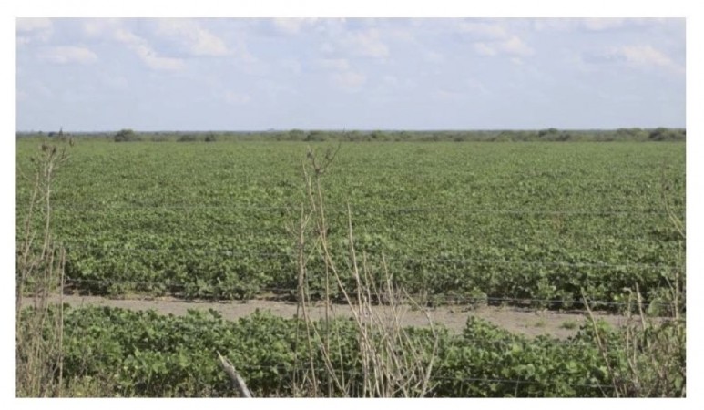 VENDO!! CAMPO MIXTO 