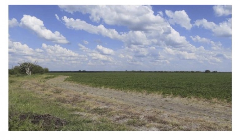 VENDO!! CAMPO MIXTO 