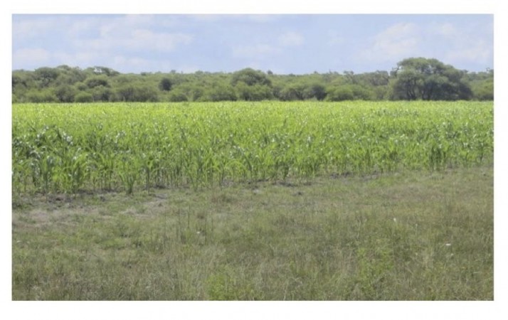 VENDO!! CAMPO MIXTO 