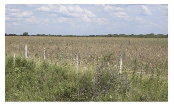 VENDO!! CAMPO MIXTO 