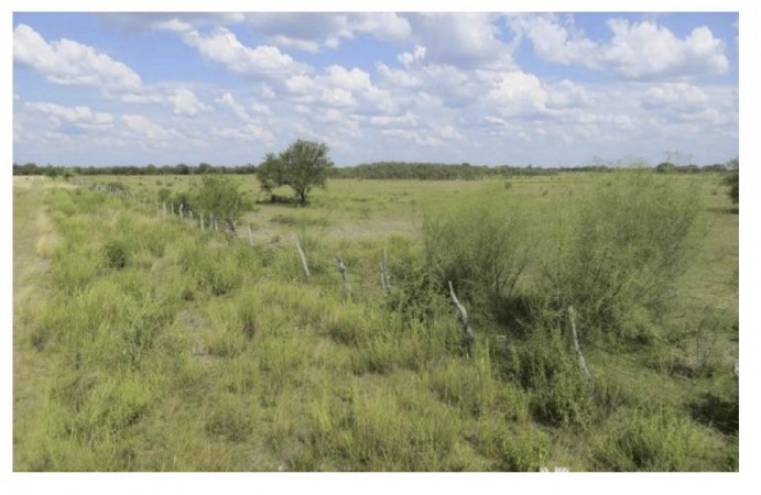 VENDO!! CAMPO MIXTO 