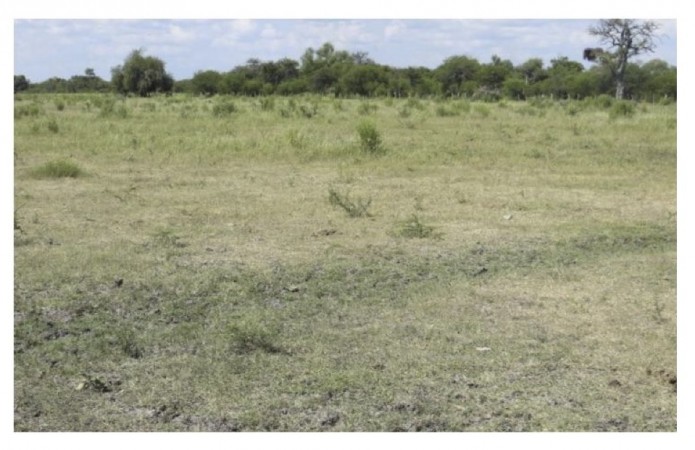 VENDO!! CAMPO MIXTO 