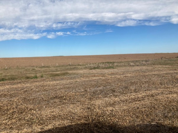 VENDO!! CAMPO AGRÍCOLA EN BOVRIL