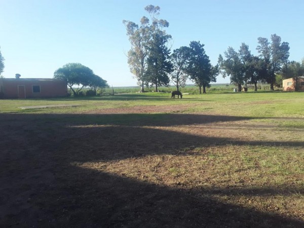 VENDO!! CAMPO AGRÍCOLA EN BOVRIL