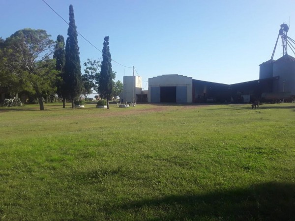 VENDO!! CAMPO AGRÍCOLA EN BOVRIL