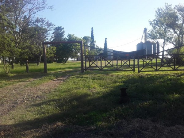 VENDO!! CAMPO AGRÍCOLA EN BOVRIL