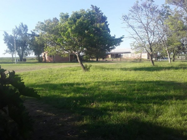 VENDO!! CAMPO AGRÍCOLA EN BOVRIL