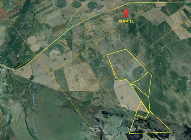 VENDO CAMPO RINCON DE GUALEGUAY 871 Ha!!!