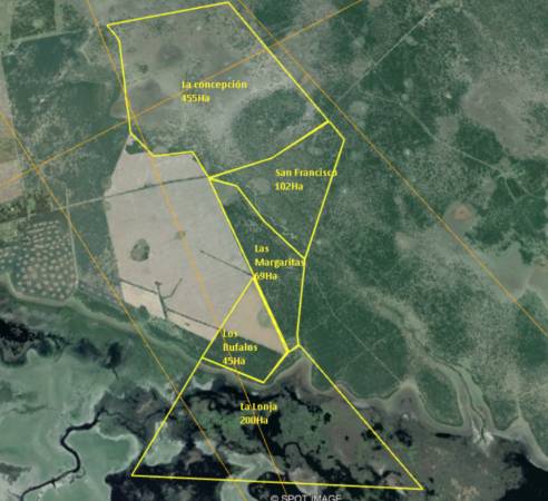 VENDO CAMPO RINCON DE GUALEGUAY 871 Ha!!!