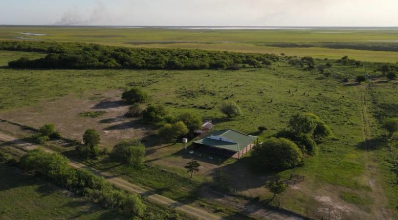 VENDO!! CAMPO GANADERO 
