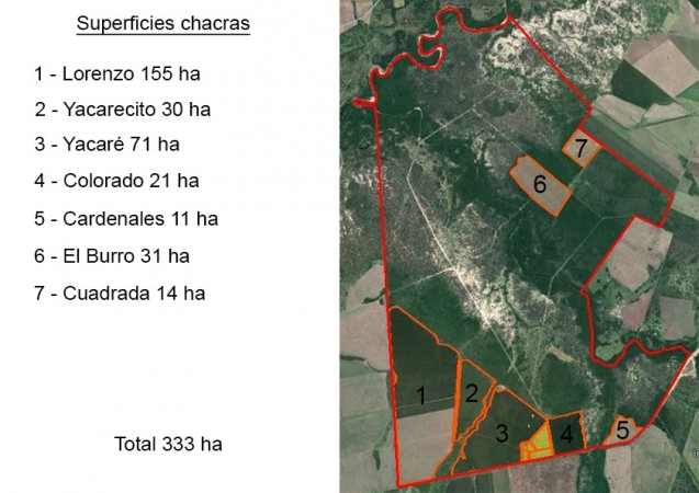 VENDO CAMPO EN LA PAZ!!! MIXTO 333Ha