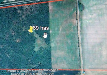 VENDO CAMPO MIXTO 89 Ha - VIALE