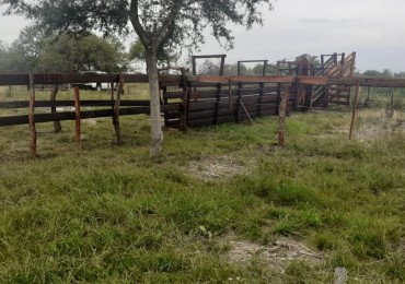VENDO!! CAMPO MIXTO EN PIEDRAS BLANCAS