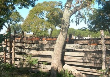 VENDO!! CAMPO GANADO 756 Ha !!! EL ESPINILLAR GRANDE