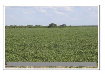 VENDO!! CAMPO MIXTO 