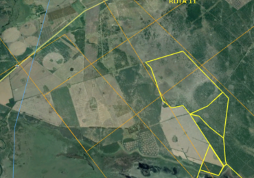 VENDO CAMPO RINCON DE GUALEGUAY 871 Ha!!!